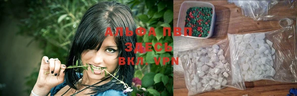 ПСИЛОЦИБИНОВЫЕ ГРИБЫ Чердынь