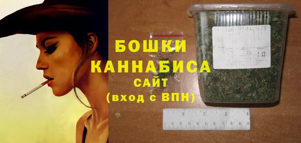 ПСИЛОЦИБИНОВЫЕ ГРИБЫ Чердынь