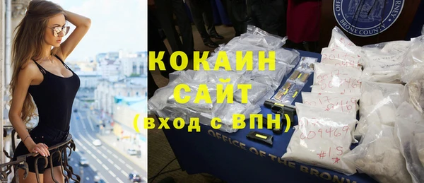 стаф Почеп