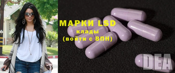 ПСИЛОЦИБИНОВЫЕ ГРИБЫ Чердынь