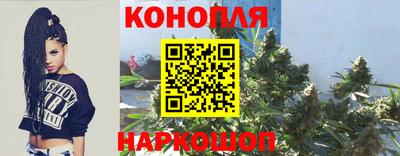 прущие крисы Ирбит