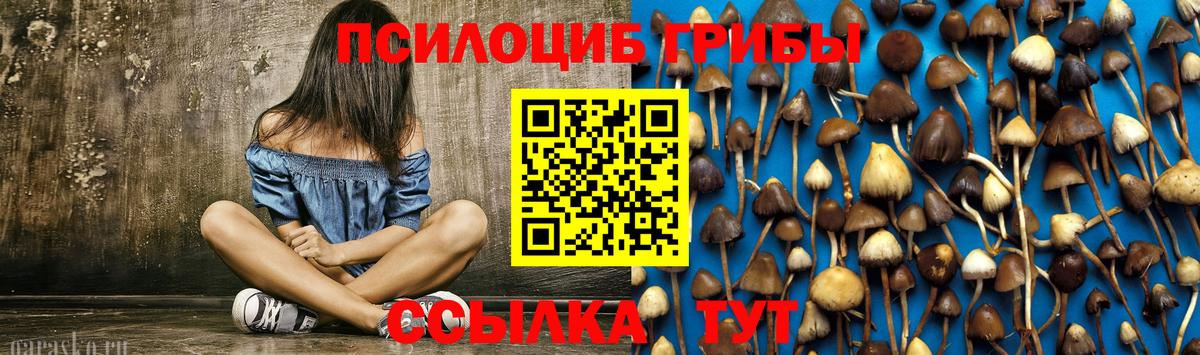 Саранск  Галлюциногенные грибы Psilocybine cubensis  Вход с VPN  Галлюциногенные грибы Cubensis 
