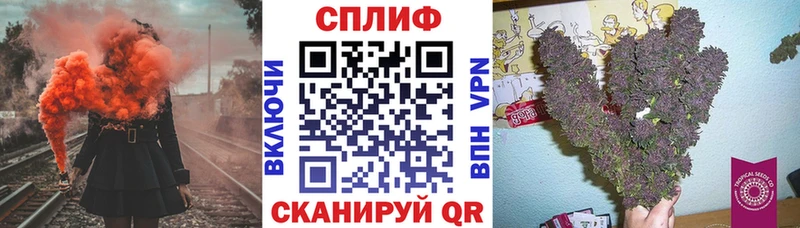Конопля план  Саранск 